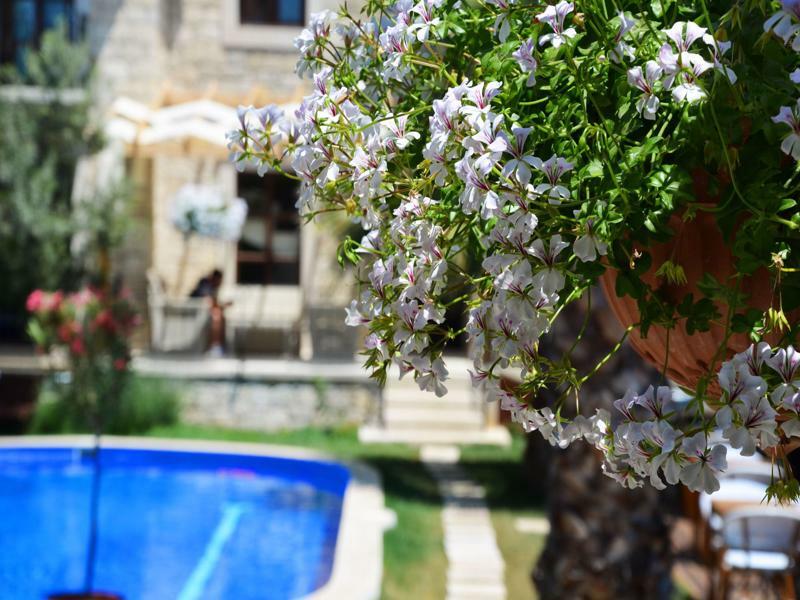Tasquartas Hotel 알라카티 외부 사진